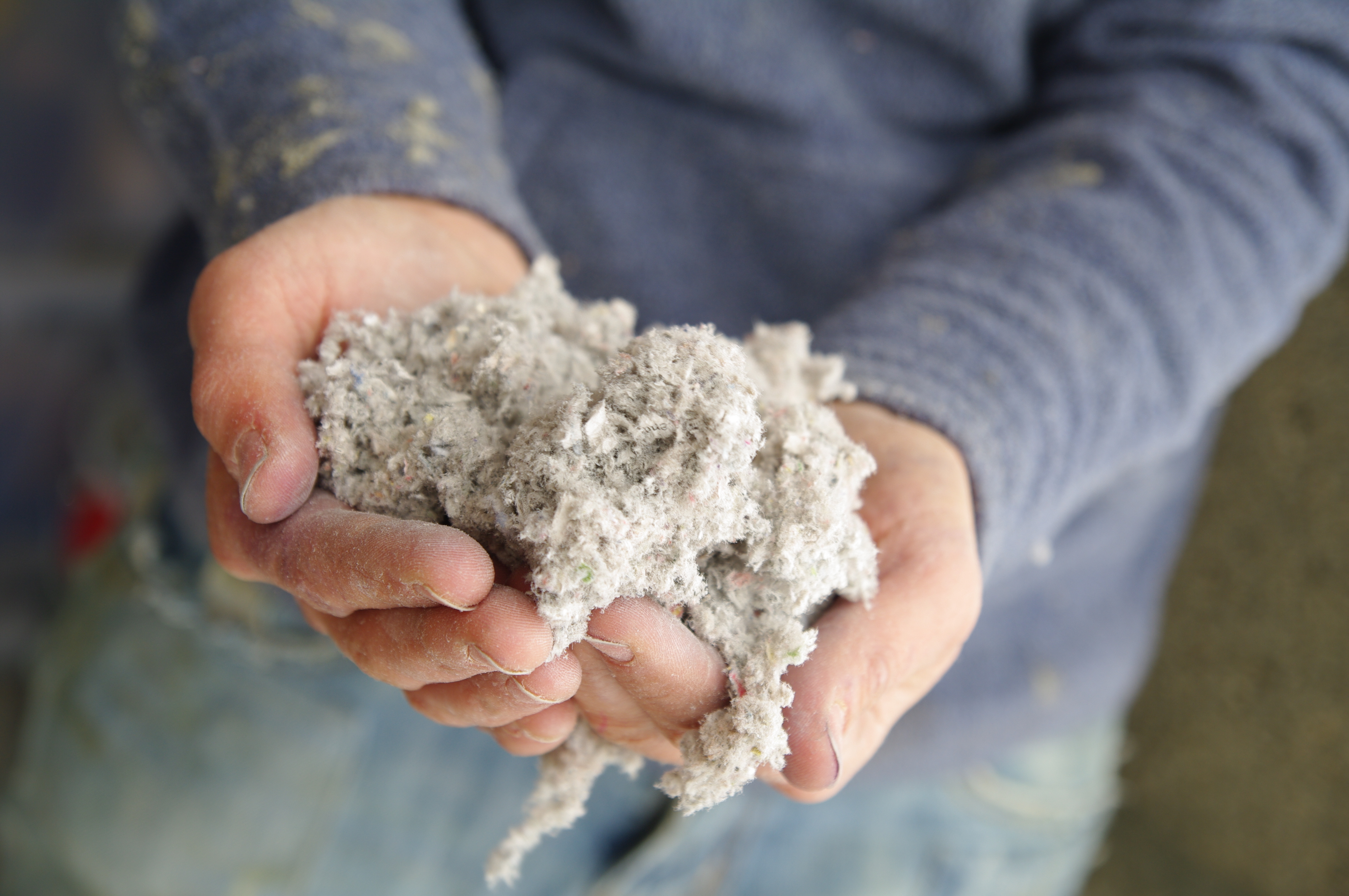 Cellulose Wall Spray